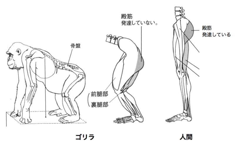 blog 20140327 1